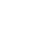 auto ankauf icon