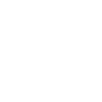 autoankauf cash icon